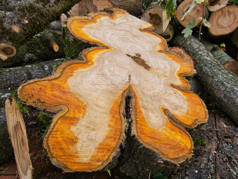 how does cherrytree wood burn how does cherrytree wood burn