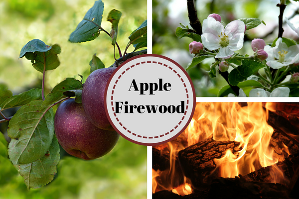 apple fire wood
