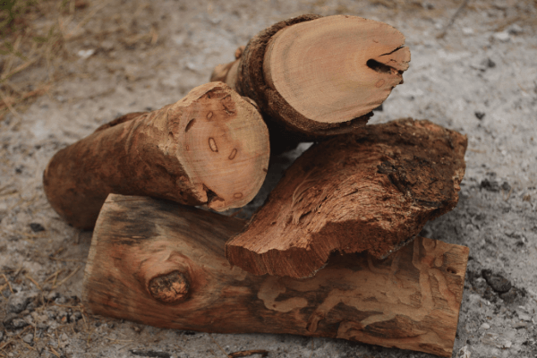 Is Ash Good Firewood - Best Firewood Choice?