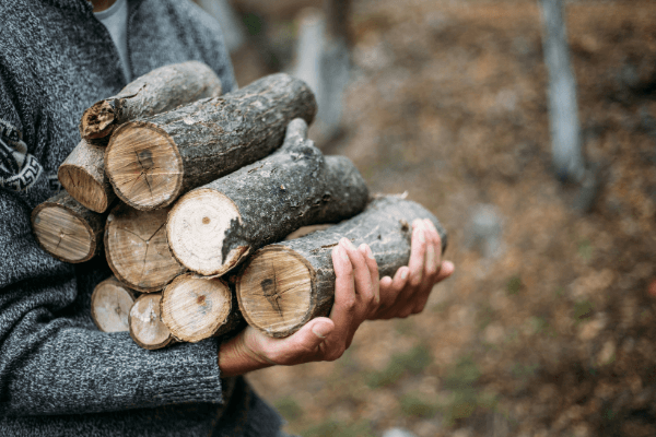 Collect Wood