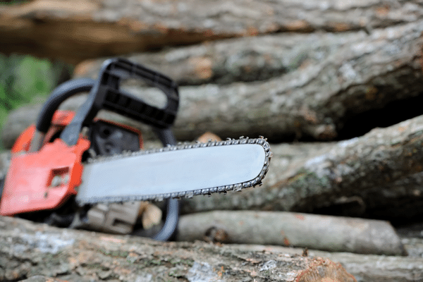 chainsaw-blurred-wood-background chainsaw-blurred-wood-background