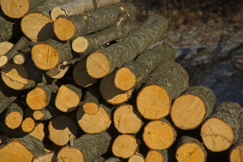firewood