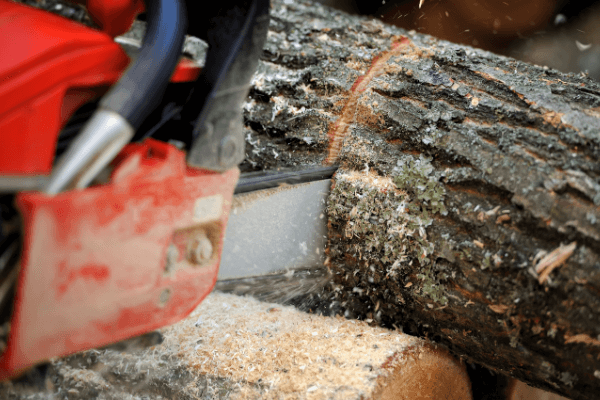 How to properly sharpen your chainsaw (instructions) – Einhell Blog