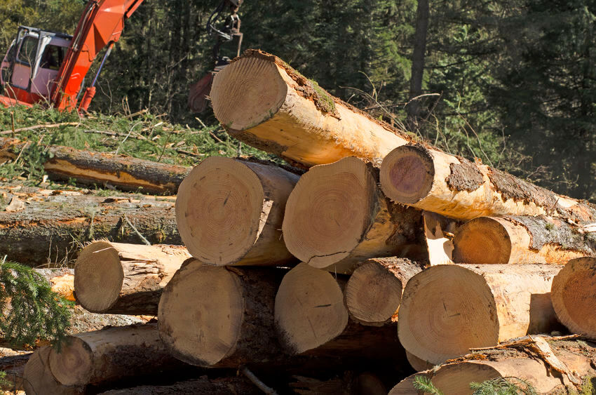 Shop Firewood, Oregon Supplier