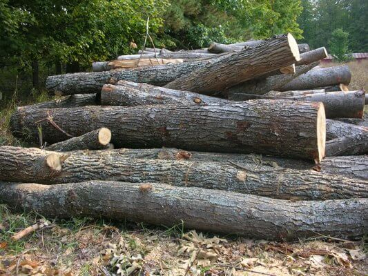 Logs For Firewood - By The Truckload