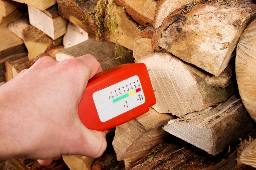 Firewood Review: Sycamore – Is it Good for Firewood? 9 Is Sycamore Good for Firewood