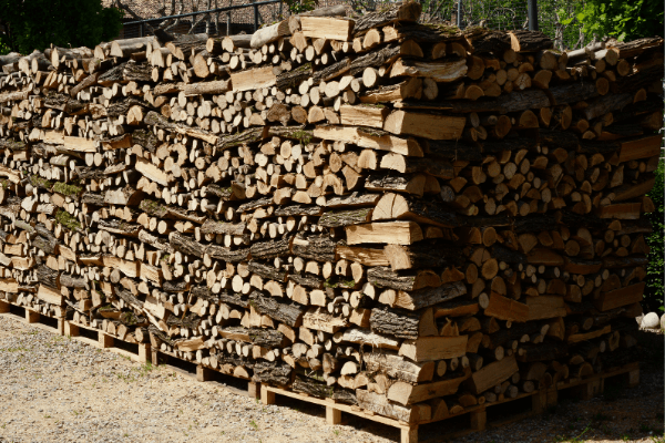 Storing firewood on pallets deals