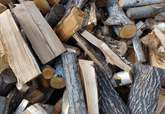 Cutting Summer Firewood - What Are The Benefits?