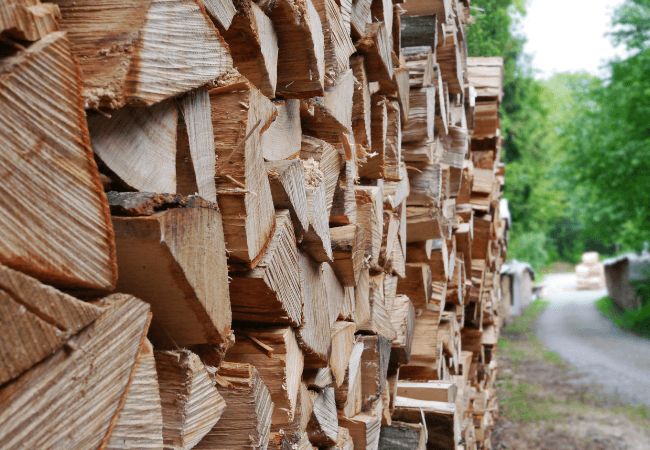 Capetonians urged to collect free firewood at Rhodes Memorial