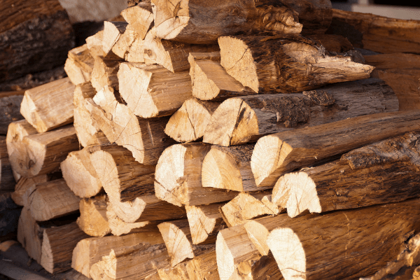 The Best Firewood For Wood Stoves And Fireplaces