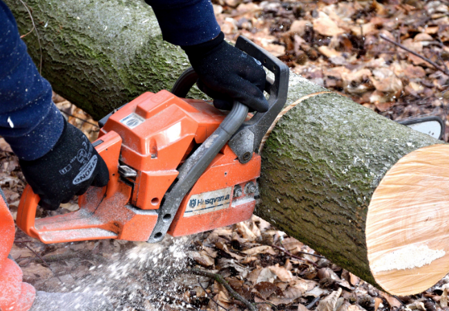 Logs For Firewood By The Truckload