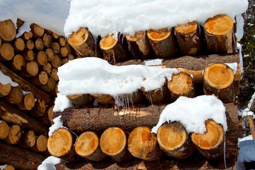 is larch a good wood to burn