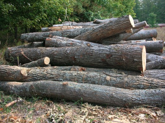 Logs For Firewood By The Truckload