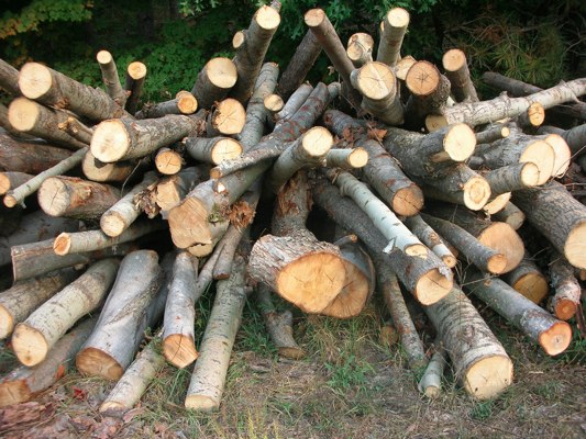 tips for buying firewood — the family handyman