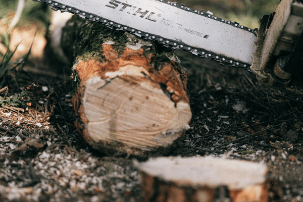 Stihl MS 280 Chainsaw Review - Should You Buy One?