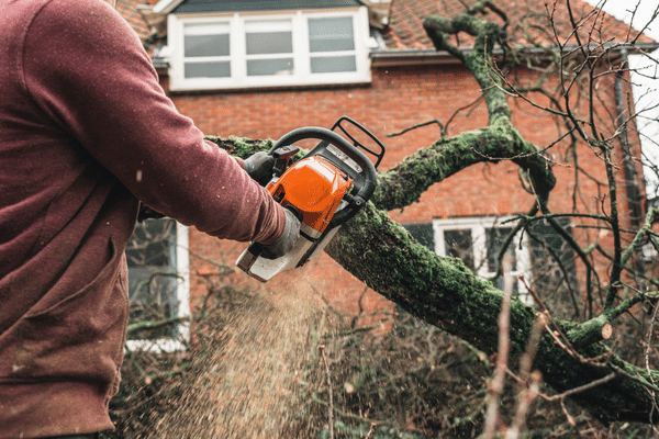 Stihl 026 Chainsaw Review Price Parts and Specs