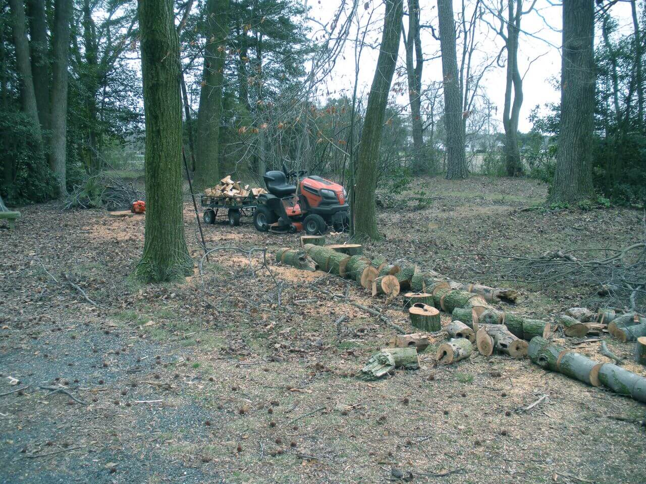 Sweet Gum Firewood Good For Burning?