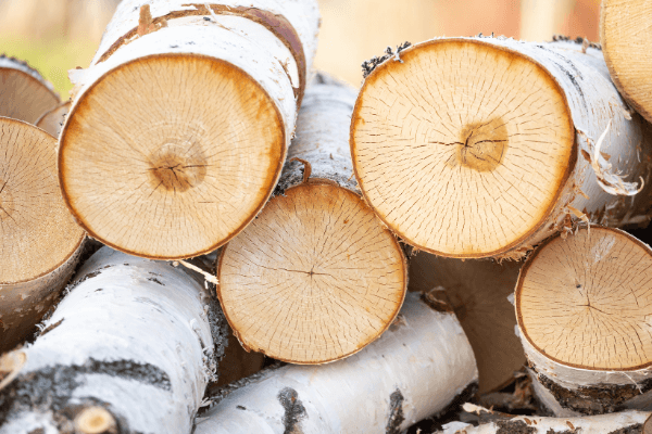 Decorative Logs - Make Your Fireplace Look Great