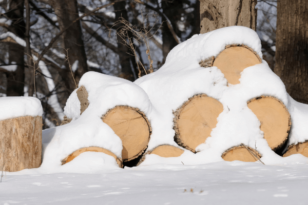 winter-firewood-compressed