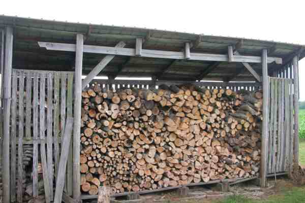 How To Season Firewood - 10 Tips For Dry Firewood