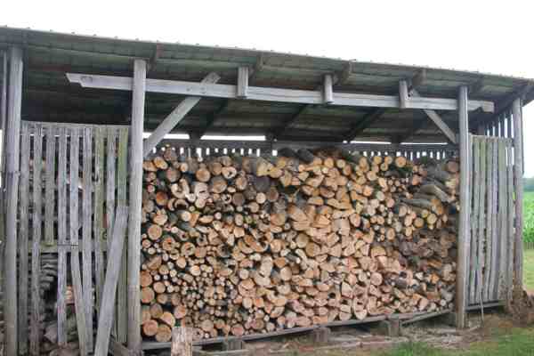 How To Season Firewood - 10 Tips For Dry Firewood