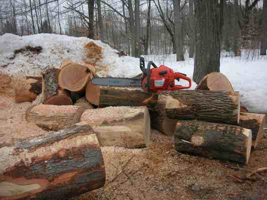 Cutting Firewood - Do It Yourself Guide